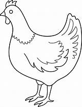 Chicken Hen Outline Drawing Line Clipart Clip Drawings Draw Realistic Template Hens Colorable Coloring Cliparts Sketch Pencil Chickens Transparent Print sketch template