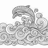 Coloring Designlooter Scrolling Dolphin sketch template