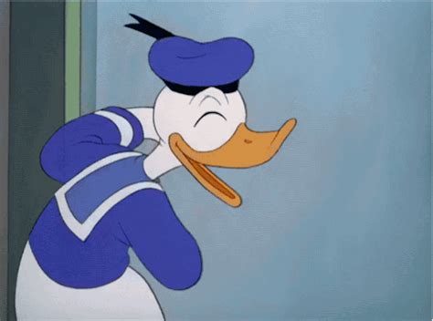 Donald Duck Cartoon S Find And Share On Giphy