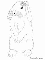 Bunny Coloring Flower Pages sketch template