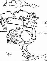 Avestruz Ostrich Colorir Printable Struisvogel Animais Bestcoloringpagesforkids Afdrukbare Pintarcolorear sketch template