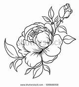 Rosebud Coloring Designlooter Element Bouquet Inflorescence Roses Vector Line Decor Style sketch template
