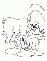 Coloring Animals Pages Bear Mother Cub Baby Their Cubs Babies Father Young Polar Ones His Drawing Logo Chicago Waiting Kids sketch template