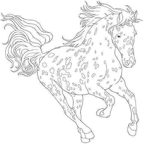 dover creative haven appaloosa horse coloring page  horse coloring