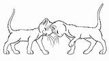 Warrior Cat Coloring Pages Cats Lineart Wildpathofshadowclan Kit Kits Warriors Deviantart Erin Hunter Base Print Mates Template Body Wings Popular sketch template