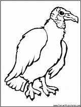 Vulture Coloring Pages Cartoon Clipart Kids Library Clip Silhouette Template Fun Cliparts sketch template