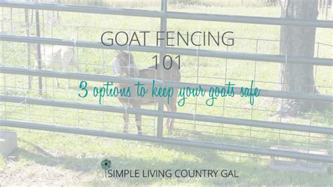 goat fencing       simple living country gal