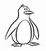 Penguin Coloring Pages Penguins Outline Printable Template Drawing Cartoon Clipart Print Templates Pittsburgh Colouring Animal Funny Kids Color Worksheets Book sketch template