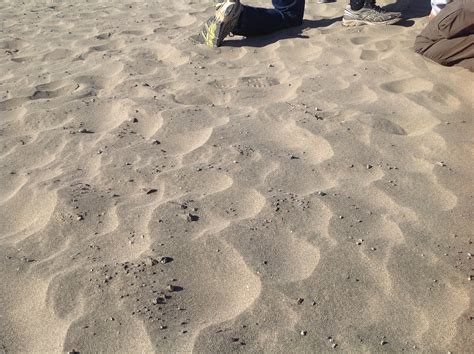 Ocean Beach Sand