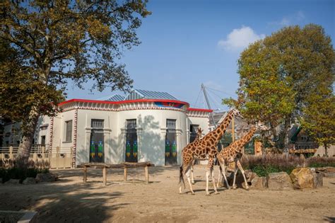 zoo antwerpen antwerpconventionbureau experience antwerp acb