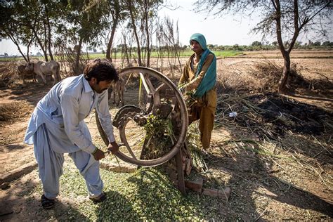 A New Life After Bonded Labour In Azad Nagar Pakistan