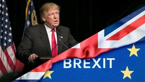 blindside trump  brexit deal  hurt plans   uk trade pact   scramble