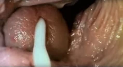 ejaculation action inside the vagina porn galleries