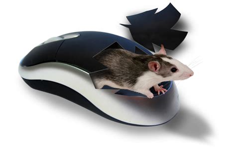 mouse computer