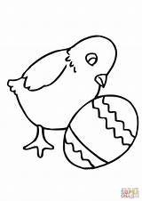 Coloring Easter Chick Egg Pages Chicks Baby Printable Drawing Pollito Clipartmag sketch template