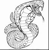 Snake Realistic Coloring Pages Drawing Kids Cobra Snakes Color Sheets Template Step Printable Print Getcolorings Highest Getdrawings sketch template