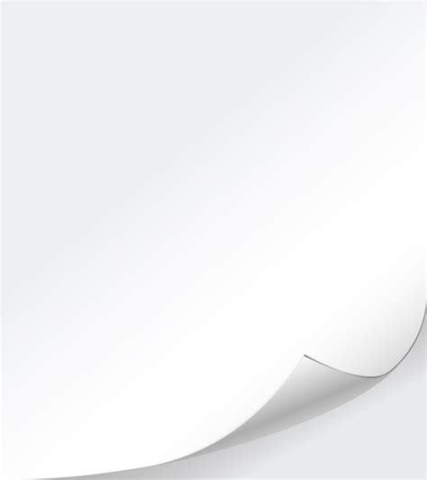 vector vector white paper background  curled corner