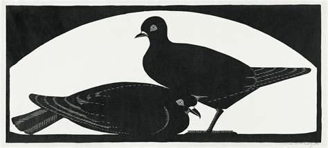pigeons twee duiven  print  high resolution  samuel jessurun de mesquita