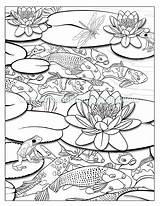Coloring Pond Koi Pages Waterfall Colouring Fish Ponds Adults Adult Printable Drawing Book Template Color Sketch Advanced Getdrawings Lotus Getcolorings sketch template
