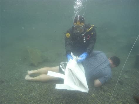 Is This The Coolest College Course Of All Time Underwater