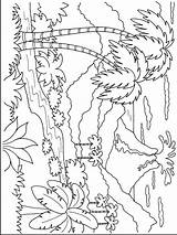 Hawaii Coloring Pages Printable Mycoloring Kids Color sketch template