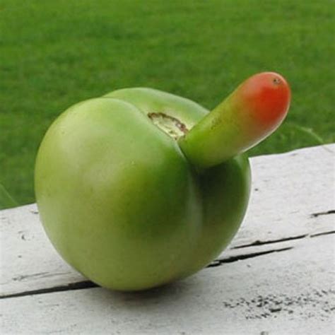 Here Are 20 Fruits And Vegetables That Look Suspiciously Sexual