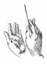 Hands Baton Conductors Holding Human sketch template
