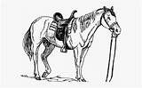 Horse Quarter Coloring Pages Cliparts Dog Clipartkey sketch template