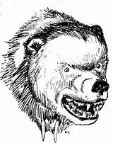 Bear Sketch Clipart Fierce Head Kodiak Clip Coloring Dog Drawing Grizzly Cliparts Roaring Bears Getdrawings Vicious 24kb 400px Drawings Growling sketch template