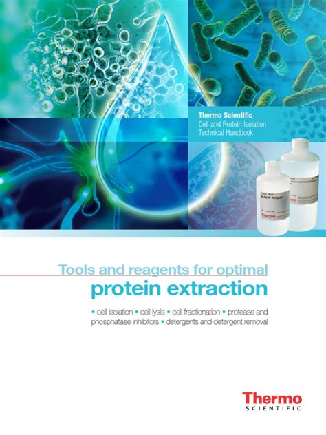 protein extraction tools  reagents  optimal