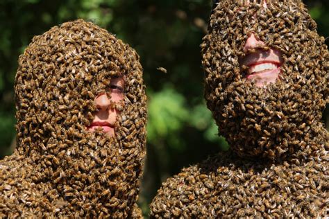 bee beard contest at clovermead adventure farm in ontario