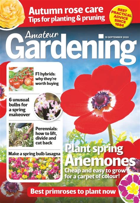 Amateur Gardening 19 September 2020 Pdf Download Free