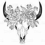 Skull Bull Drawing Cow Flowers Tattoo Vector Drawings Sketch Flower Bison Skulls Taurus Tattoos Beautiful Draw Western Istockphoto Coloring Adult sketch template