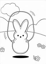 Peeps Coloring Pages Bunny Printable sketch template
