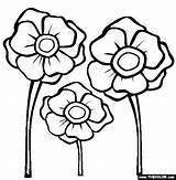 Poppy Template Poppies Coloring Colouring Printable Pages Remembrance Flower Anzac Kids Drawing Templates Color Sheets Thecolor Clip Clipart Choose Board sketch template