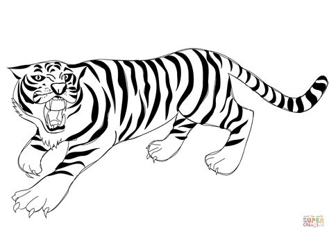 gambar roaring tiger coloring page  printable pages click pictures