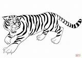 Tiger Face Coloring Pages Getcolorings Printable sketch template