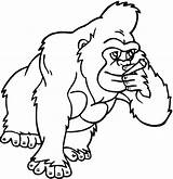 Gorilla Coloring Pages Clipart Gorillas Primate Printable Cliparts Cartoon Drawing Mountain Animals Categories Supercoloring Apes Presentations Projects Attribution Forget Link sketch template