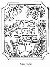 Sukkot Coloring Pages Jewish Kids Printable Sukkah Books Sheets Tree Color Adults Feast Drawing Life Succos Colouring Hebrew Crafts Getdrawings sketch template