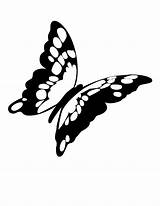 Outline Monarch Side Drawing Clipartmag Wings sketch template