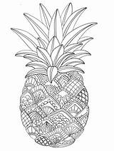 Abacaxi Fruta Colorironline sketch template