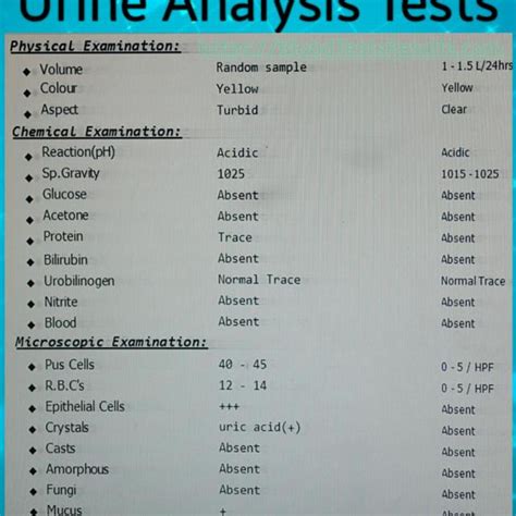 urine analysis  urinary tests blood test results explained