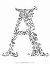 Letter Coloring Pages Adult Floral Alphabet Printable Feather Coloringgarden Colouring Adults Letters Flower Color Books Print Book Getcolorings Doodle Getcoloringpages sketch template