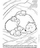 Coloring Bear Animals Pages Sleeping Hibernating Tundra Little Kids Drawing Animal Big Wild Den Woods Brown Color House Printable Smokey sketch template