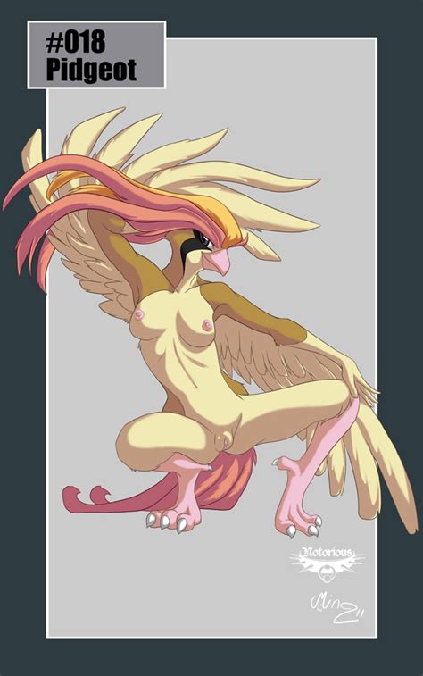 018 pidgeot pokedex project sorted by position luscious