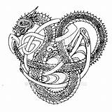 Celtic Dragon Coloring Pages Printable Getcolorings Print Color sketch template