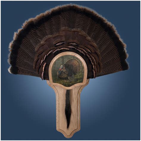 walnut hollow king  spring deluxe turkey fan mount display kit