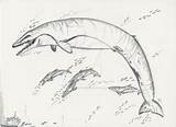 Basilosaurus Hodarinundu Prehistoric sketch template
