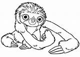 Sloth Coloring Pages Baby Cute Print Tattoo Printable Color Adult Toed Three Drawing Uncolored Getcolorings Getdrawings Luna Size Tattooimages Biz sketch template