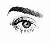 Sobrancelhas Sobrancelha Eyebrows Olho Olhos Desing Dicas Yure Eys Microblading Eyebrow Nariz Beleza Mao Molduras Luxo sketch template